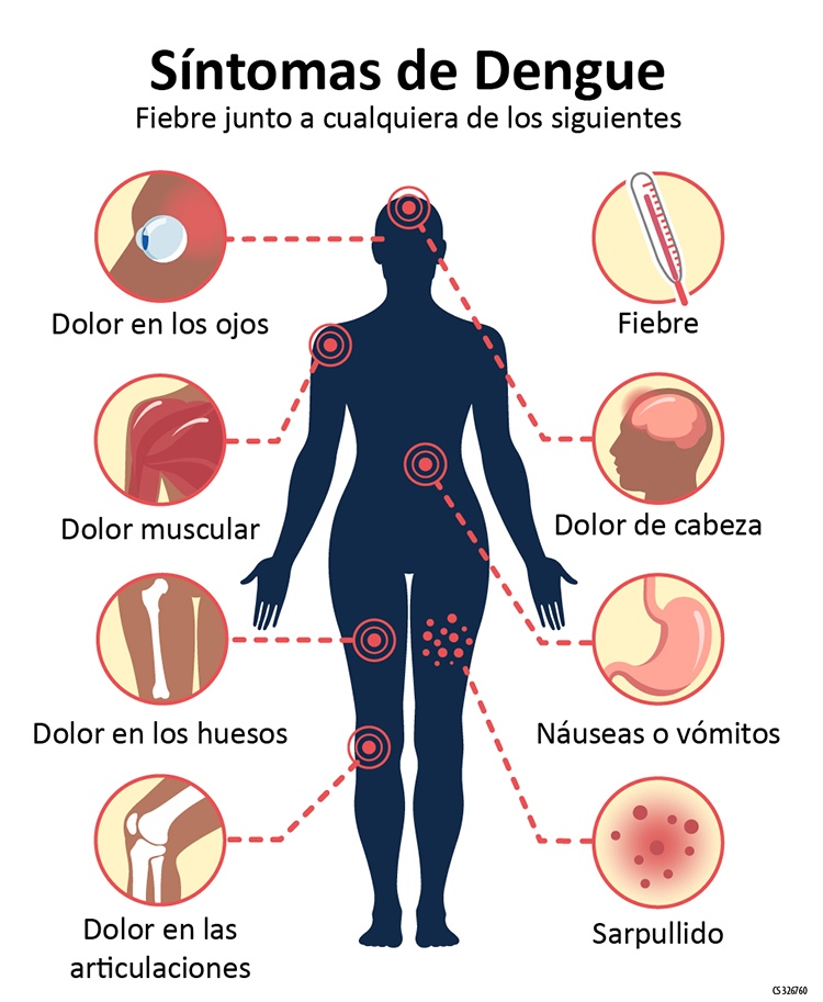 Aumento de casos de dengue en Alto Paraná, con mayor incidencia en ciudades fronterizas con Brasil