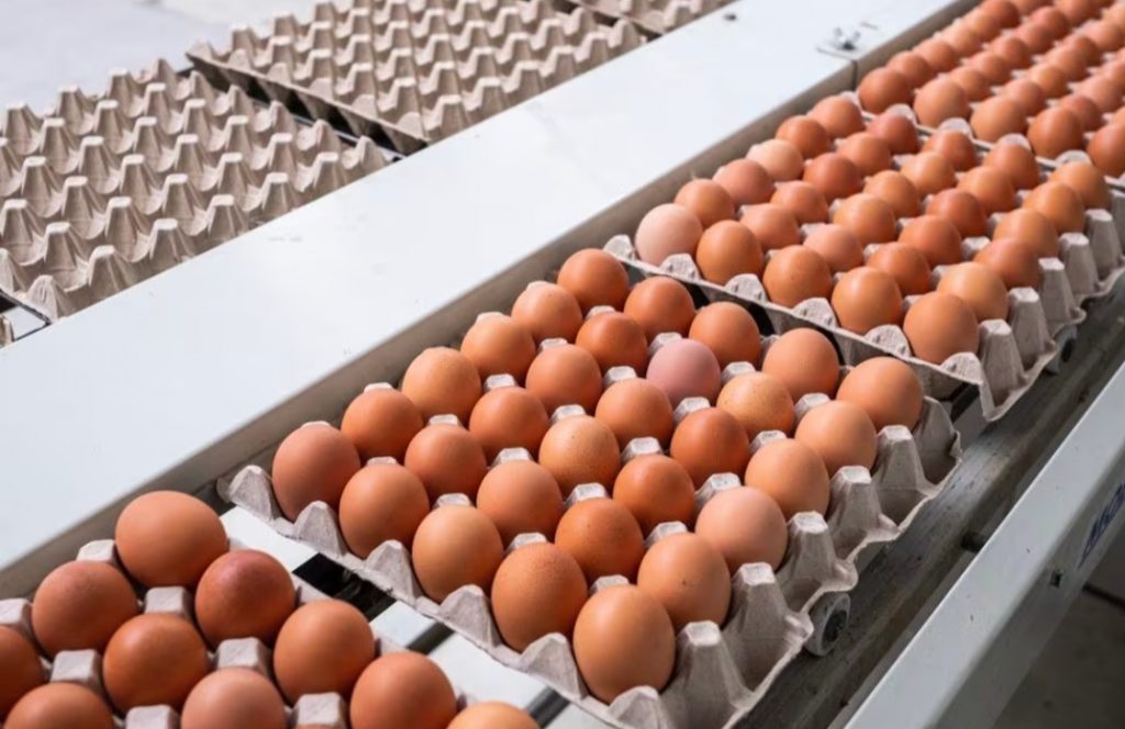 Aumento del 35% en el Precio de Huevos en Centros Comerciales de Todo el País ante la Proximidad de Semana Santa