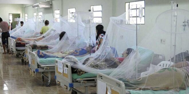 Todas las regiones del país reportan casos de dengue, advierten